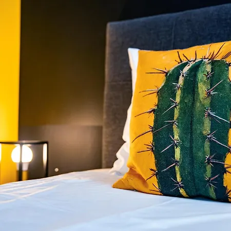 Kaktus Chill & Sleeping - 50 M Od Rynku Aparthotel Racibórz