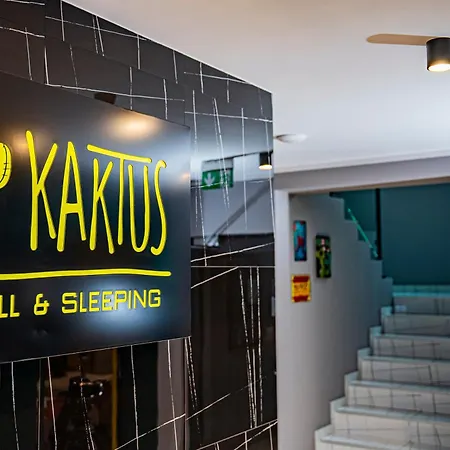 Kaktus Chill & Sleeping - 50 M Od Rynku Aparthotel Racibórz