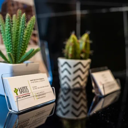 شقة فندقية Kaktus Chill & Sleeping - 50 M Od Rynku