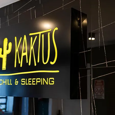 Kaktus Chill & Sleeping - 50 M Od Rynku Racibórz