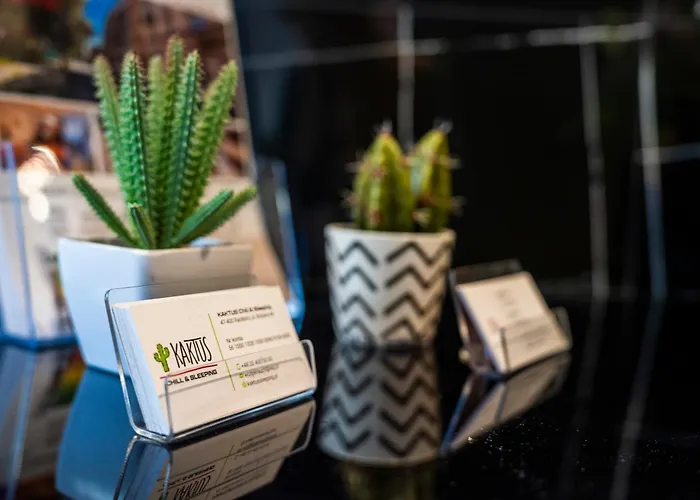 شقة فندقية Kaktus Chill & Sleeping - 50 M Od Rynku